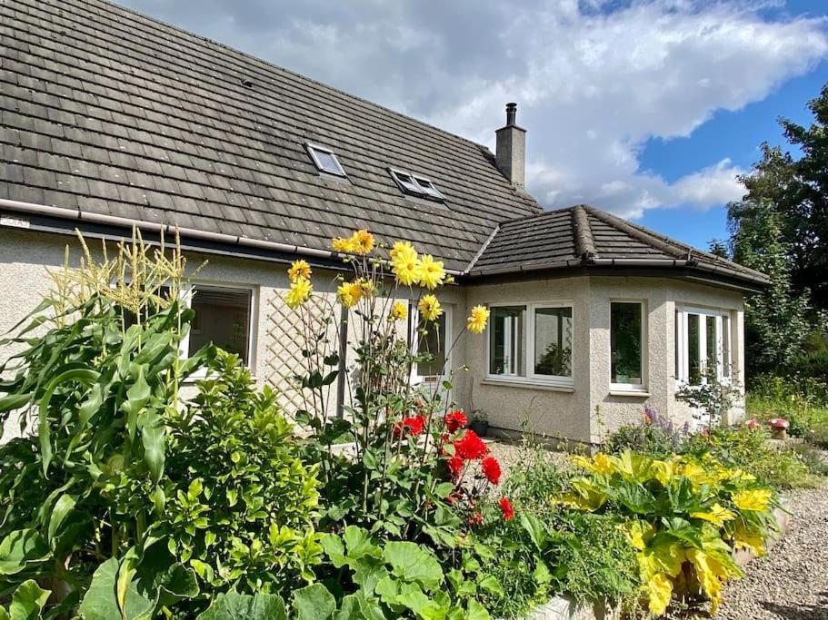 Homestead House, Форт-Огастус Екстер'єр фото